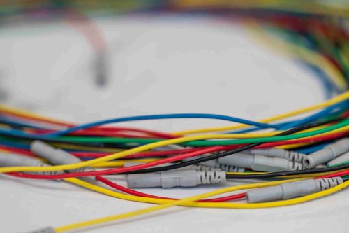 026 - Michela Parisi_Lakewood, CO - cropped